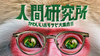 藤木陽一、「人間研究所」に出演！